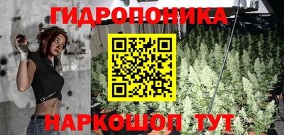 mdpv Анжеро-Судженск