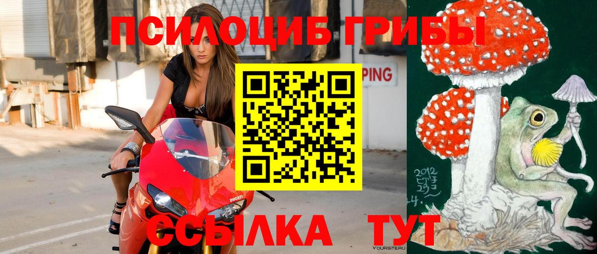 Галлюциногенные грибы GOLDEN TEACHER  Вход с VPN  Кохма  Псилоцибиновые грибы мицелий 