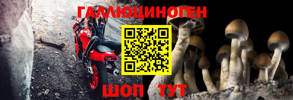 МДМА  Гашиш  Мефедрон   A-PVP СК кристаллы  Лсд 25  МАРИХУАНА  Кохма  ТГК  МЕТАМФЕТАМИН  ГАШ  КОКАИН  Вход с VPN  Конопля 