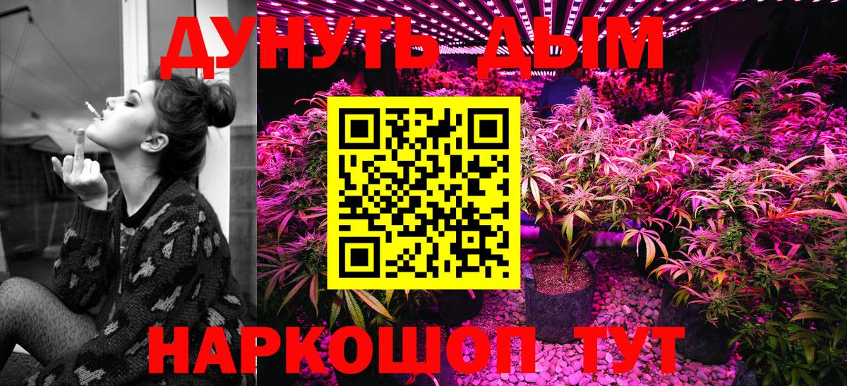 Каннабис гибрид  Шишки марихуана марихуана  Кохма  Вход с VPN  Бошки марихуана сатива 